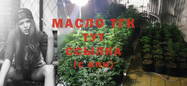 прущие крисы Балахна