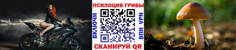 Галлюциногенные грибы GOLDEN TEACHER  наркошоп  кракен сайт  Анжеро-Судженск 