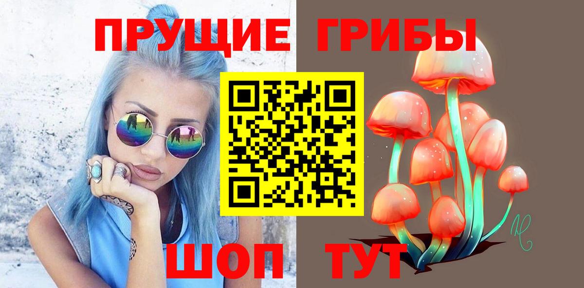 Псилоцибиновые грибы Psilocybe Анжеро-Судженск