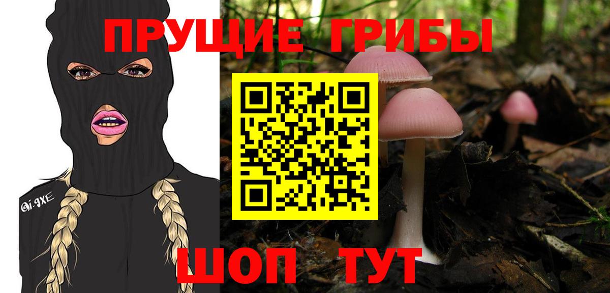Анжеро-Судженск  Псилоцибиновые грибы Magic Shrooms  Вход с VPN 